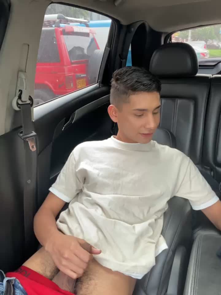 cum in the car