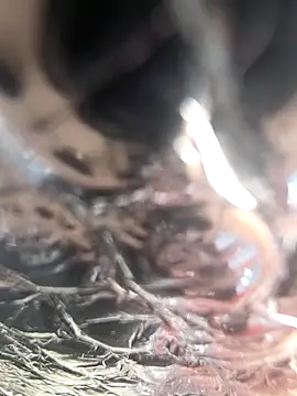 [11 Apr 16:10] Public Show – video af Jassy_Foxy cam-model