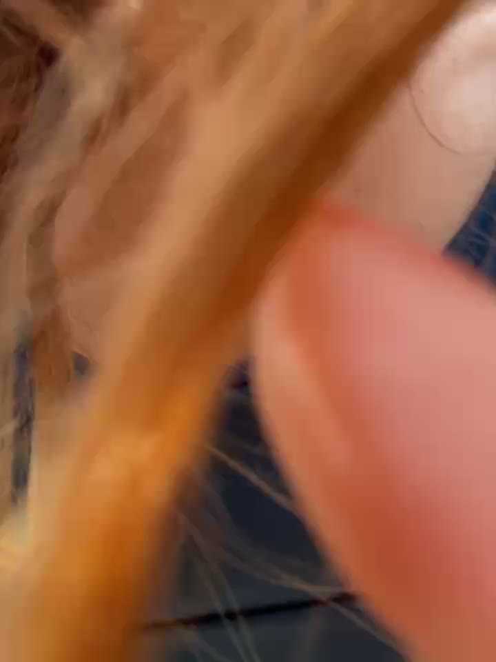 naked walk in the woods - AmmyHot adlı kamera modelinin videosu