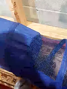 [18 Jul 11:22] Public Show - ক্যাম মডেল littleChop33-এর ভিডিও