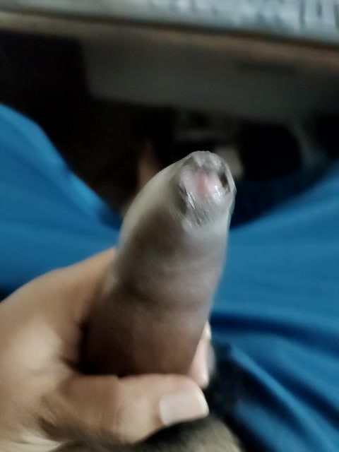 [24 Apr 16:59] Private Show - vídeo de Ashish02345 modelo de câmara