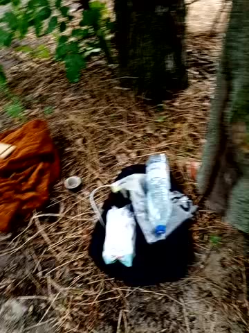 Private Show SEX  in forest
