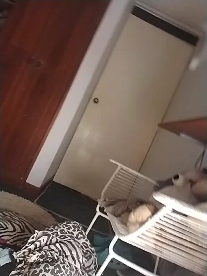 Hard ride anal - video by diamondfer cam model