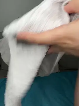 Private Show - Multiple Fontain Squirt + Dildo - video by Busty-Ellie cam model