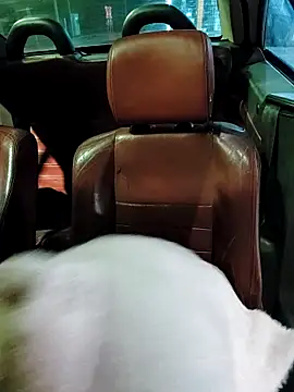 show boobs real public in a gasstation - video by BecciDeluxe cam model