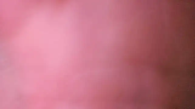 [26 Oct 05:26] Public Show - video by Maxammo2026