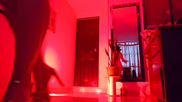 NIGHT LIGHTS! - Scarletleon77主播的视频