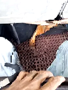 Public Show private bus - video của người mẫu cam DulajThushara2468