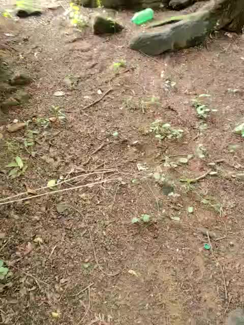 Private Show inside forest — filmik Private-Cravings, modela(-lki) na kamerkach