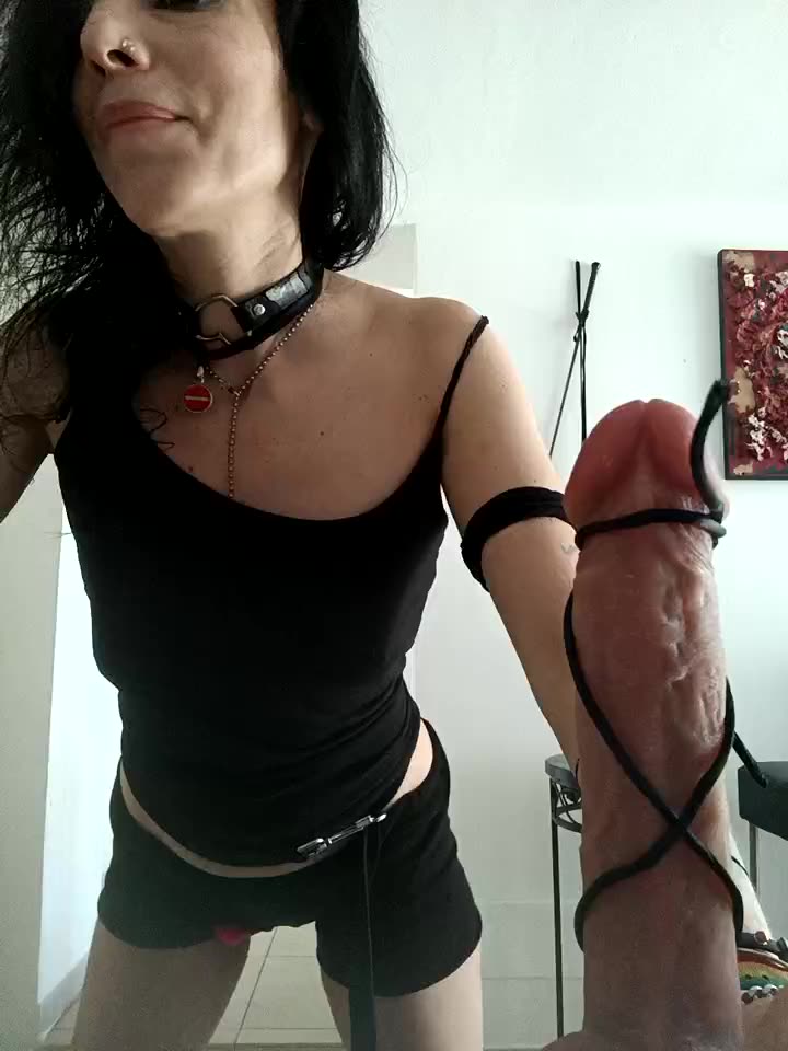 Sei una cagna... ma fai con calma... - فيديو من freyamoret موديل الكام