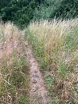 [9 Jul 16:43] Walk and Wank Crusing-Aerea - video by biggandybig cam model