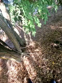 [23 Aug 18:26] Private Show - Video von nagymakk89 Cam-Model