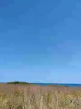 [27 Jun 14:23] Public Show - video by kellyterapy cam model