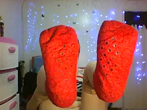 It smells my socks - video alixia81 kameramallilta