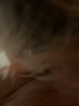 [21 Apr 23:06] Private Show - Vídeo de 4n4l1zz4m1, modelo de vídeos