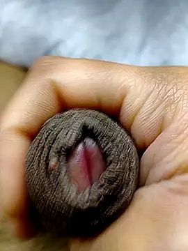 [11 Apr 03:31] Public Show - video av braulio1902jd cam model