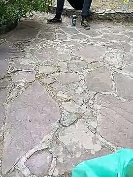 [3 Jul 19:52] Public Show - vídeo de minitranca modelo de câmara