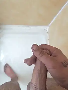 [27 Jan 17:39] Public Show– Komitovrs kameramodell videója