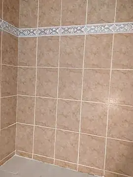 dildo in the shower