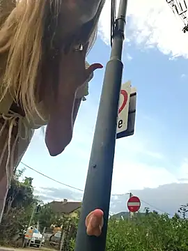 Risky Dildofuck next to the street - vidéo du modèle de showcams Sexybiene969