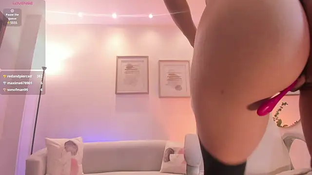 Private Show - vídeo de Arizona_Musee