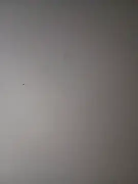 [6 Nov 15:49] Public Show //; best cum shot I ever had. - vídeo de la modelo de cam xxmattyx