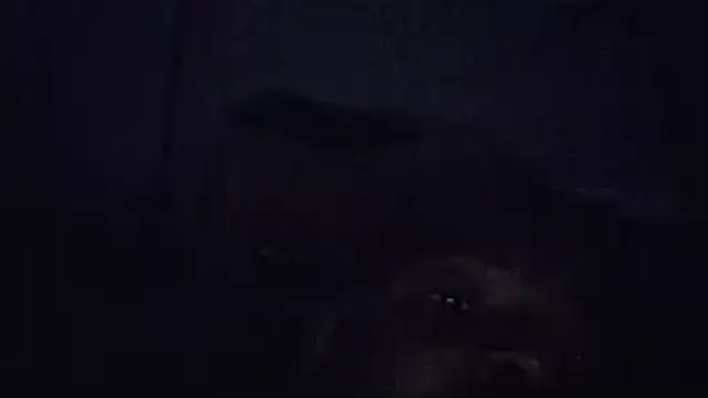 Esteem and wealth! - video by JezOne555 cam model