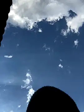 Ass, bbc, cum - відео від вебкаммоделі Big_B_Cock_1