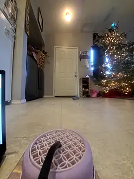 Riding daddy’s bbc 🥵💦 – видео вебкам-модели Tattoodaddycumslut