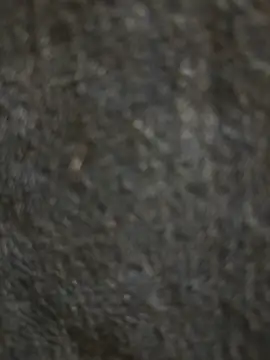 Ticket Show - Jerk off +Toy on ass hole - changbibit主播的视频