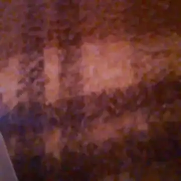 Año nuevo test 2 – video af PenerPanShibari cam-model