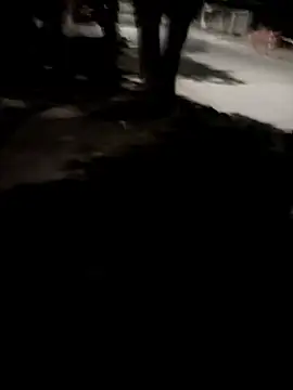 Blowjob in the street