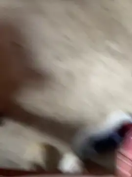 Nice cumshot - video by Jeewapatel cam model