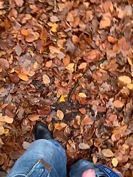 [12 Nov 15:23] Ticket Show geile Natur 4.0 30/30 - video by GeilerHSVFAN1989 cam model