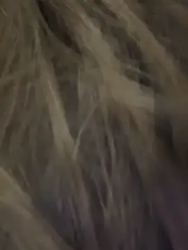 My hairy body, and a big dildo in my anus - video di Farida06 modella di cam