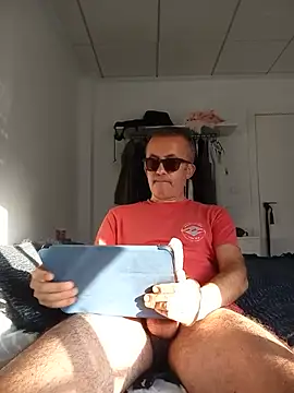Sunny afternoon