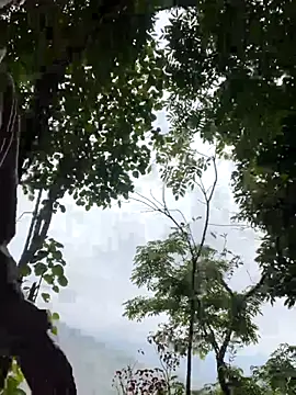 It's difficult to penetrate that anus - video by sky-wolves cam model