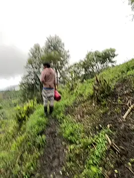 [14 Nov 17:43] Public Show - video by sky-wolves cam model