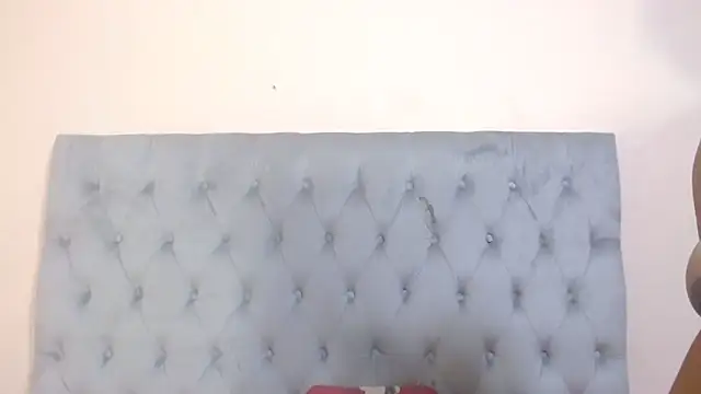 [21 Apr 01:17] Private Show