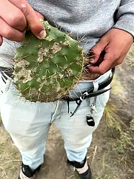 Real cactus? How crazy we can become🔥🥦 - video by Violettt_hot cam model