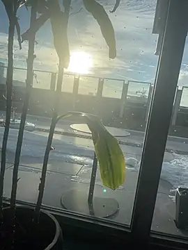 gotta be above it [9 Feb 16:31] DC LIVE SHOW - βίντεο μοντέλου tia___fox