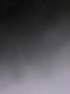 cock