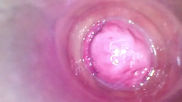 ENDOSCOPIO MY PUSSY  JOI DIRTYTALK - video by shannon_kinne_ cam model