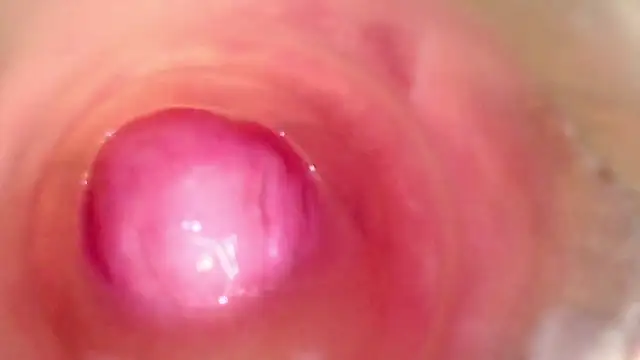 FARTS PLAY FET DILDO ENDOSCOPIO MY PUSSY - video van shannon_kinne_ cam-model