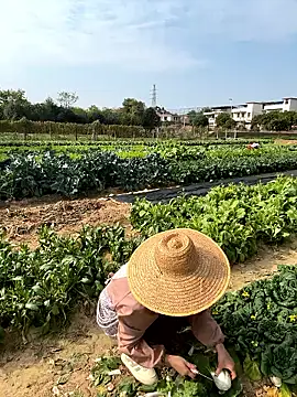 [12 Jan 14:28] Public Show– A-ZJunn kameramodell videója