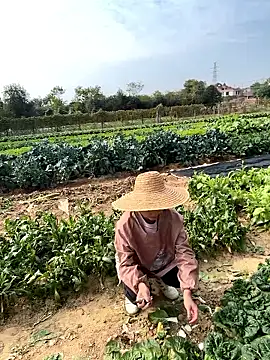 村姑的反差－カメラキャストのA-ZJunnの動画