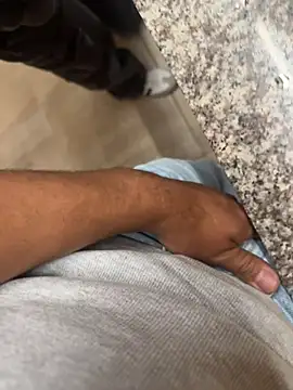 Morbi in toiles public - Vídeo de liam_bronw, modelo de vídeos