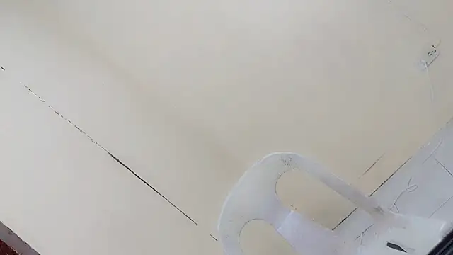 ride dildo show