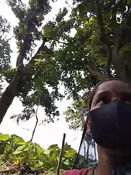Video 7
