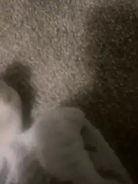 [7 Mar 04:48] Public Show - ক্যাম মডেল L3thatsme-এর ভিডিও